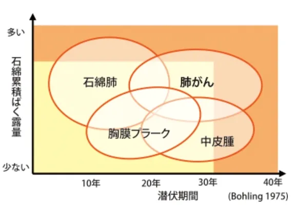 ③アスベストのばく露量と疾患発症との相関関係.webp